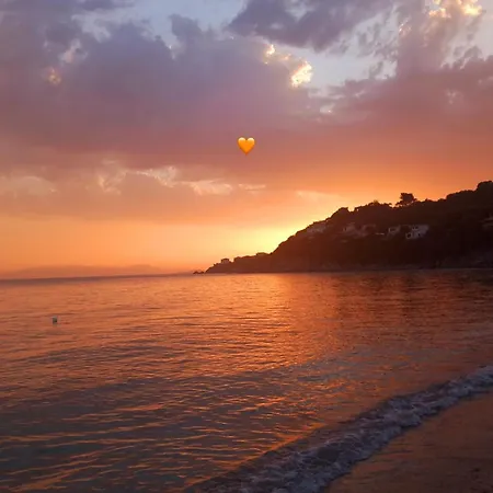 Eli's House Apartment