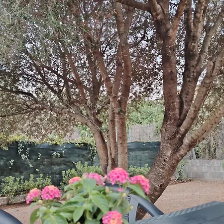 Eli's House * Torre delle Stelle