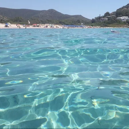 Apartment Eli's House