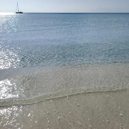 Eli's House 托雷德尔斯泰尔