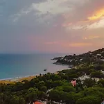 Eli's House توري ديل ستيل