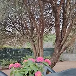 Eli's House * توري ديل ستيل