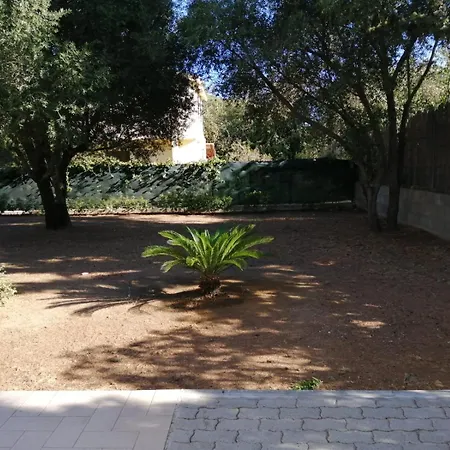 Eli's House